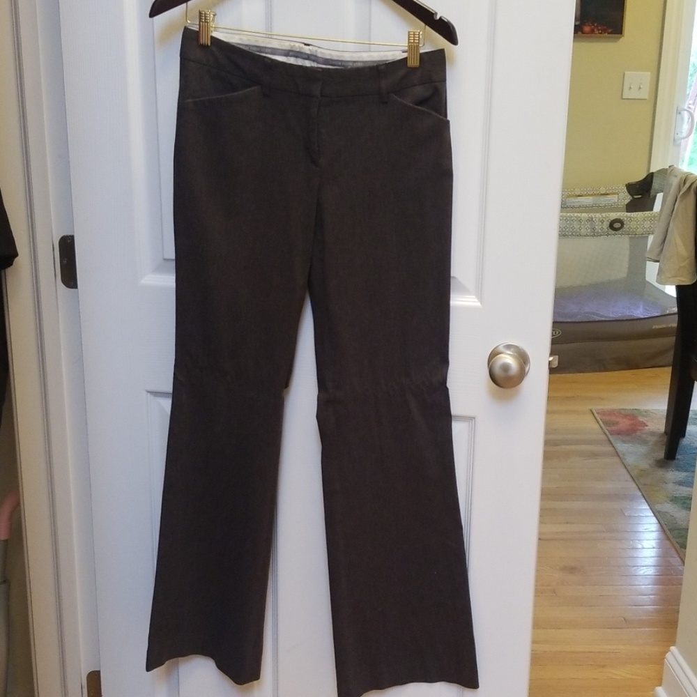 Express Straight Leg Pants in Dark Brown